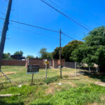 Lote Gorina grande (5)