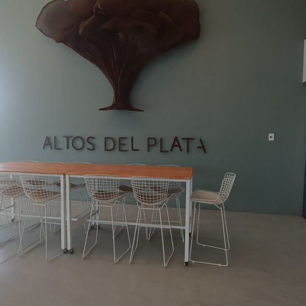 Altos del Plata (14)