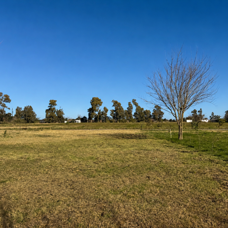 Fincas de Arana (1)