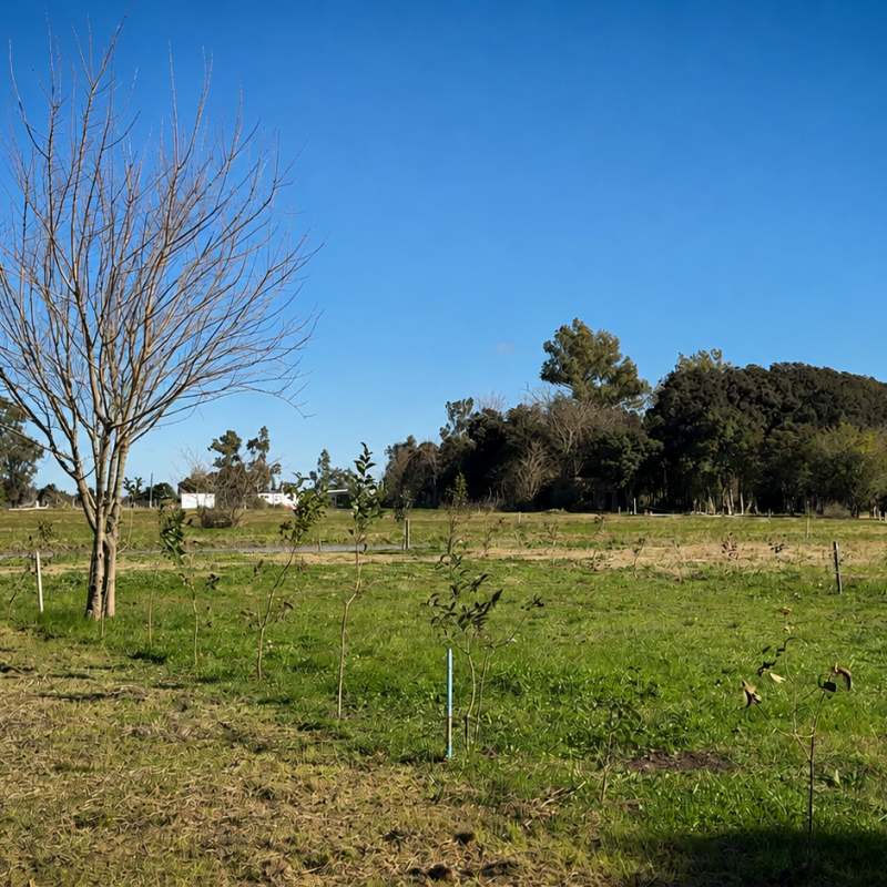 Fincas de Arana, proyecto comercializado por Fliprop