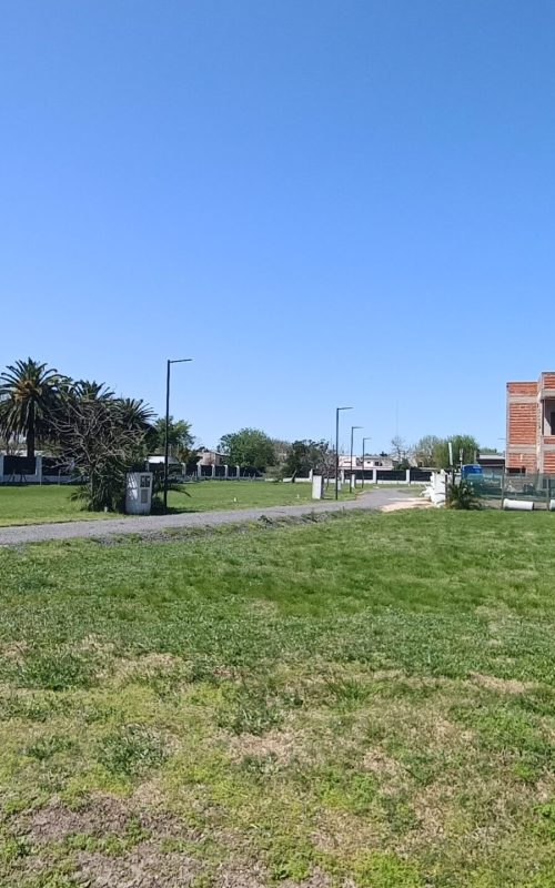 IMG_20240924_122158391