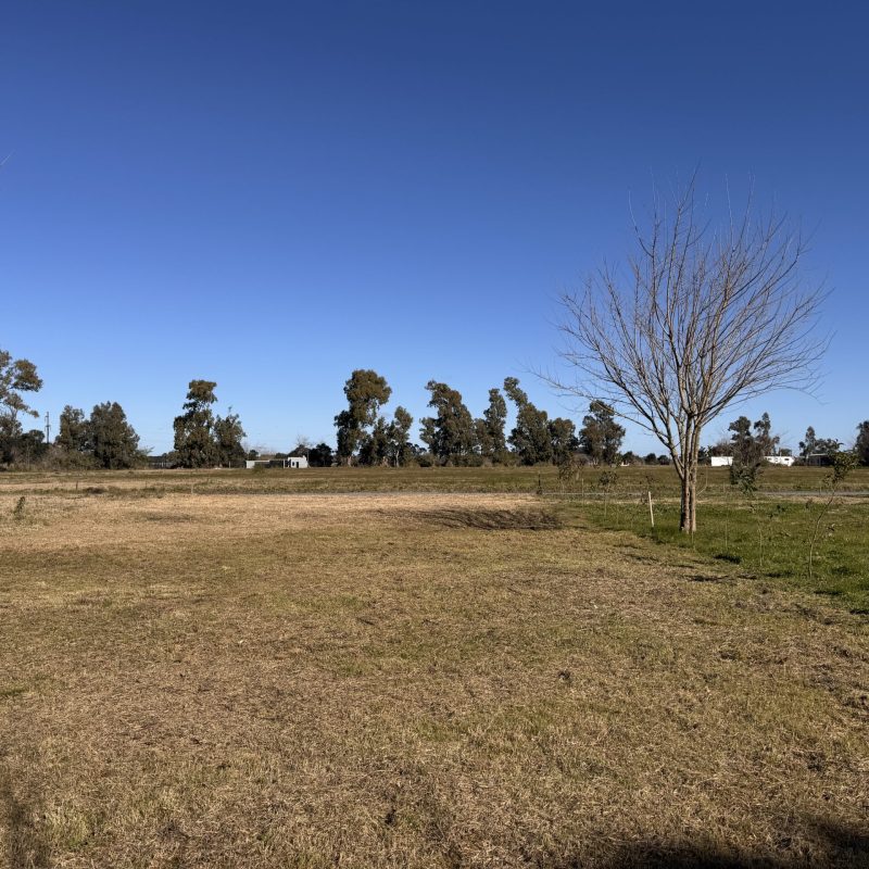 Fincas de Arana, proyecto comercializado por Fliprop