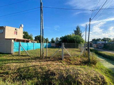 Lote Gorina chico (2)