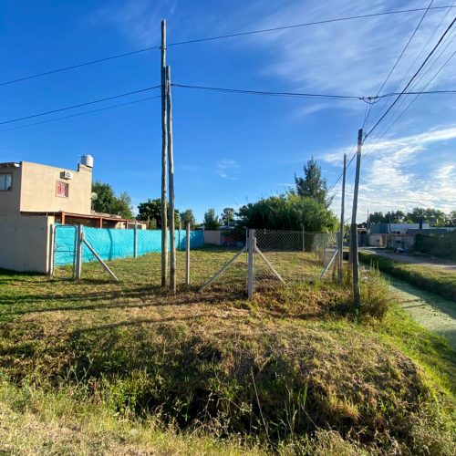 Lote Gorina chico (2)