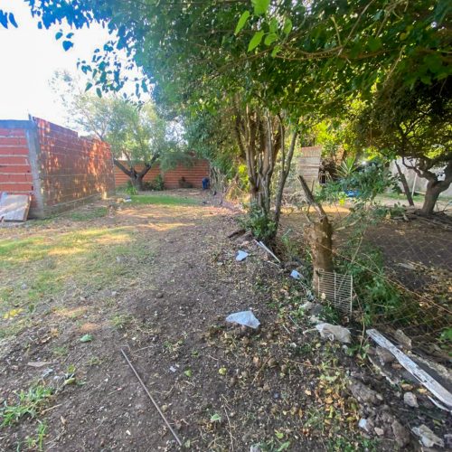 Lote Gorina grande (2)