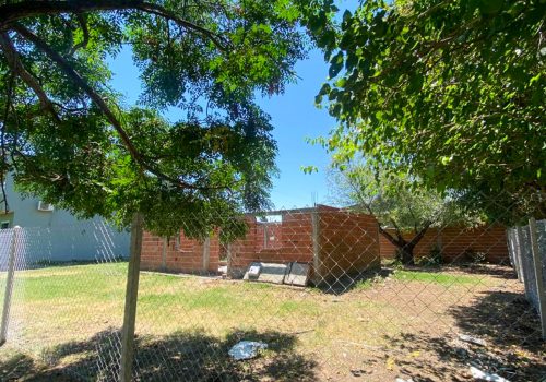 Lote Gorina grande (3)