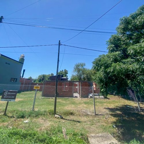 Lote Gorina grande (4)