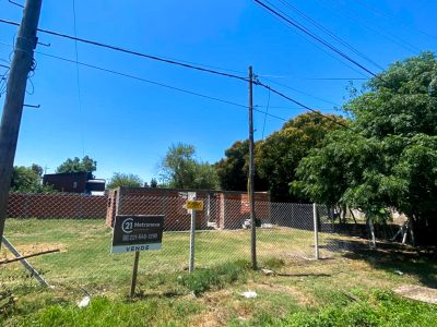 Lote Gorina grande (5)