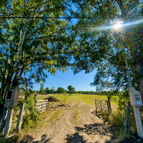Pinares de Arana, desarrollo que comercializa Fliprop