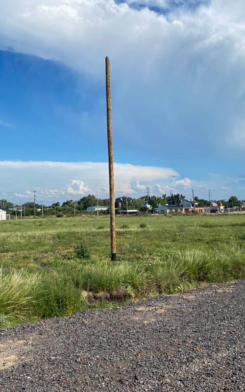 WhatsApp Image 2025-10-31 at 11.44.25