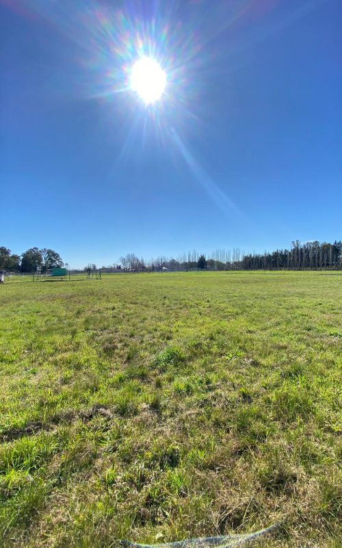 WhatsApp Image 2025-10-31 at 11.48.10 (2)