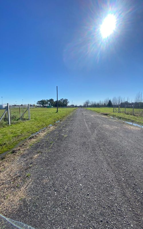 WhatsApp Image 2025-10-31 at 11.48.14